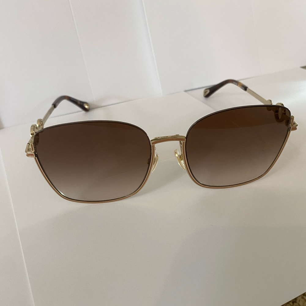 Chloe Sunglasses With Circle Accents on Frames